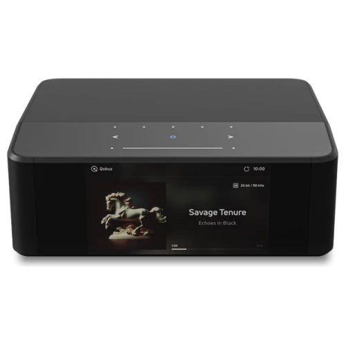 Bluesound NODE ICON (N530)