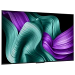 oled65m5-infill-0002