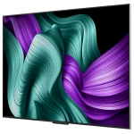 oled65m5-infill-0004
