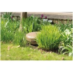 Monitor-Audio_CLG-W12 in plants