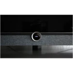 Loewe_bild5_large_7