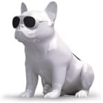 51ukVxQz9FL._SL1000_
