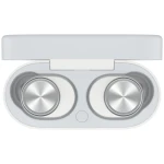 High--B&W - Pi5 S2 - Cloud Grey - Case and Buds Top view - transparent 16x9