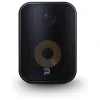 Bluesound Professional BSP500 | Zwart
