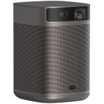 ASSET_MMS_104649850