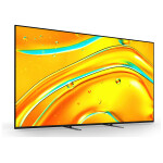 Bravia 5 (3)