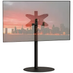 Loewe we oled stand (2)