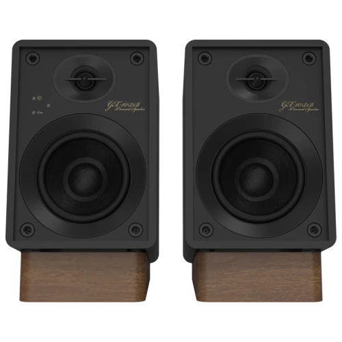 Onkyo GX-10DB (set van 2) | Zwart